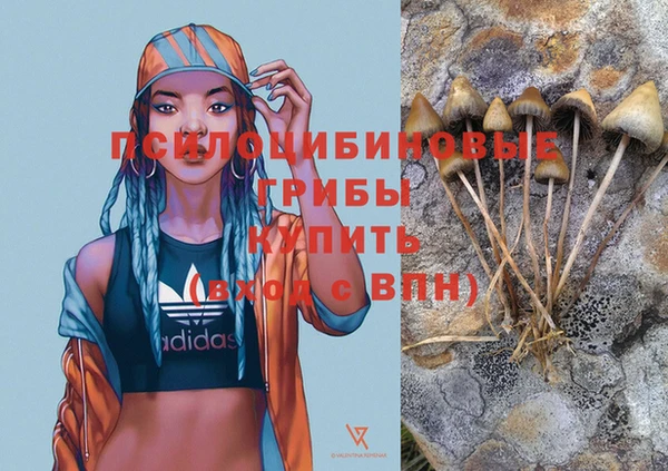 меф Елизово